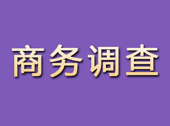 安仁商务调查